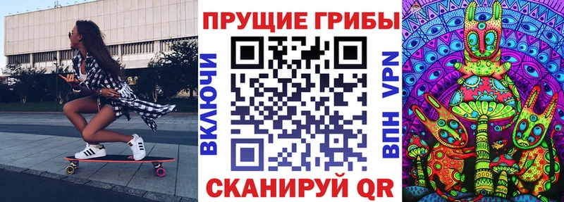 купить закладку mega Галлюциногенные грибы Cubensis Лагань